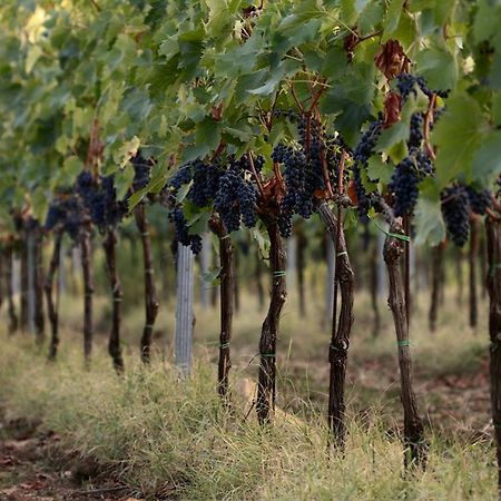 Willa Agriturismo Casagrande Montepulciano Zewnętrze zdjęcie