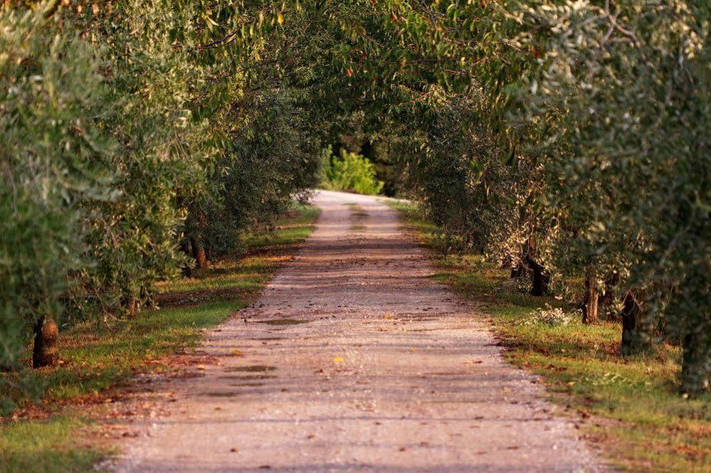 Agriturismo Casagrande Montepulciano Zewnętrze zdjęcie