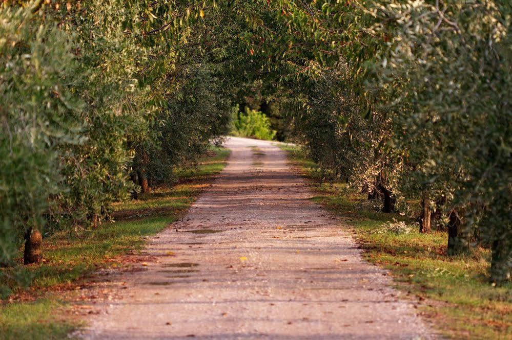 Willa Agriturismo Casagrande Montepulciano Zewnętrze zdjęcie