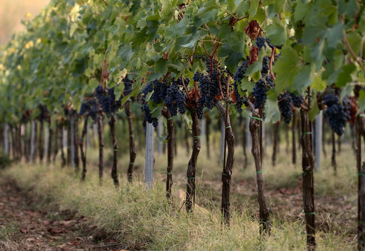 Willa Agriturismo Casagrande Montepulciano Zewnętrze zdjęcie